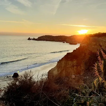 Апартаменты Praia Da Rocha Paradise Apart